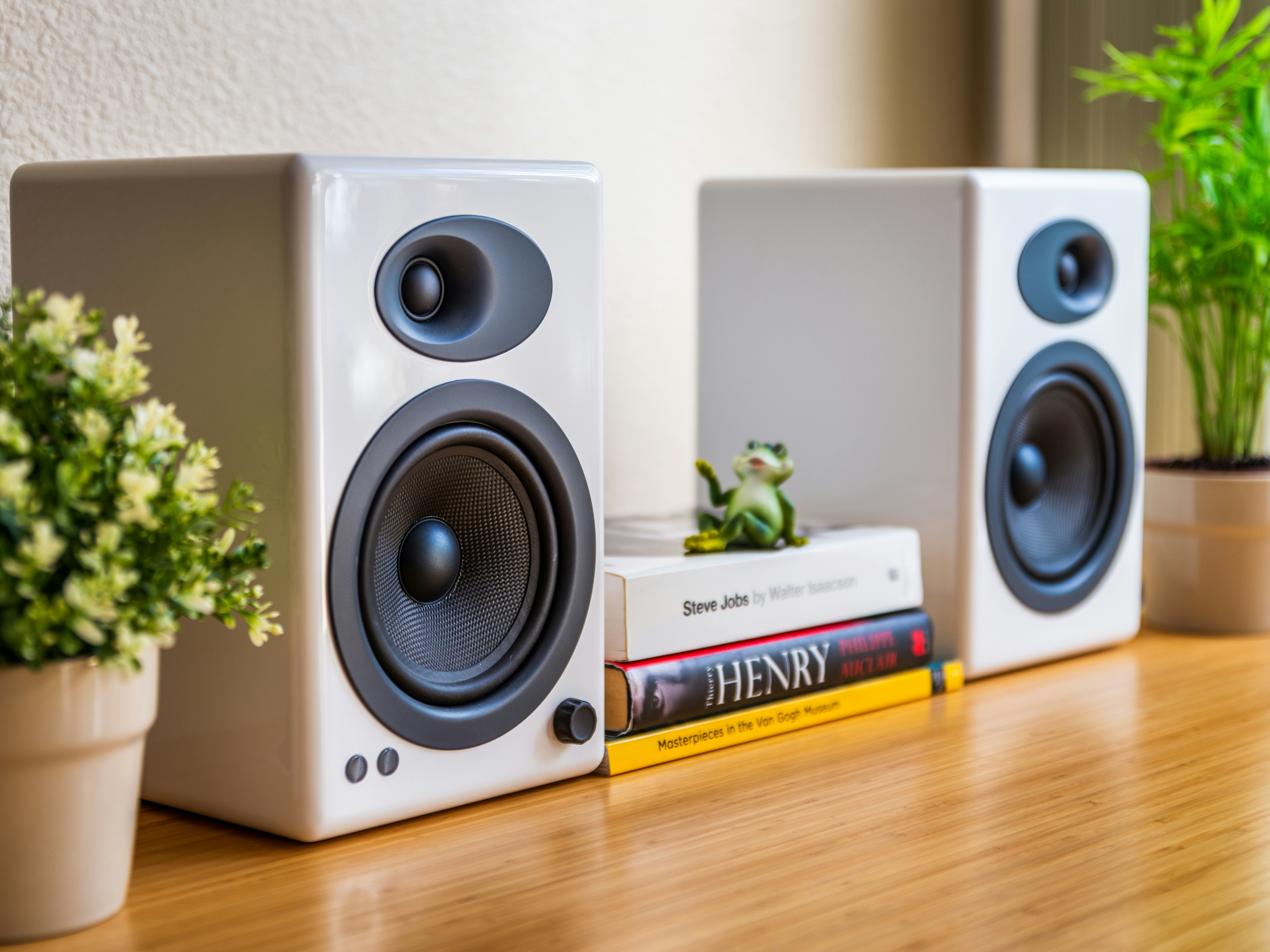 Dual Speaker